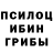 Псилоцибиновые грибы Psilocybine cubensis Ukr against