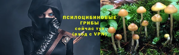 дживик Алексин