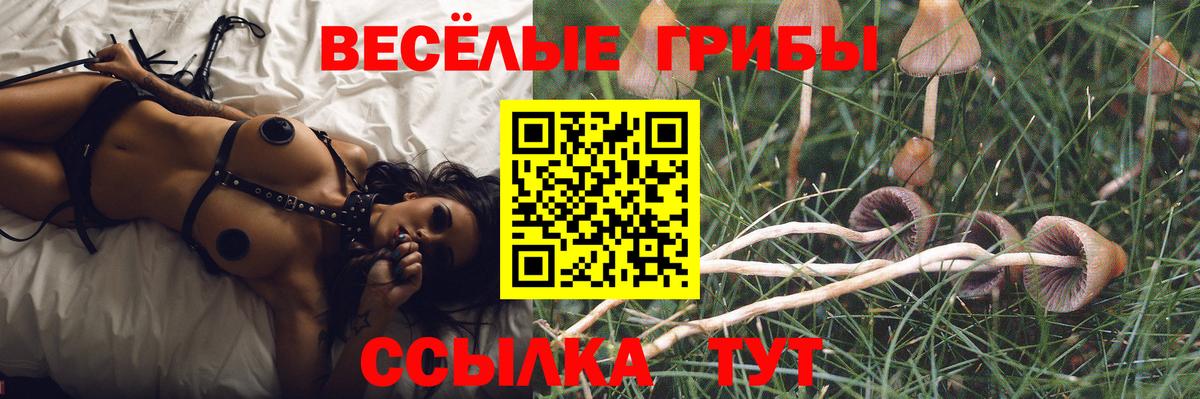 Псилоцибиновые грибы Cubensis  даркнет сайт  Галлюциногенные грибы Psilocybe  Люберцы  Вход с VPN 